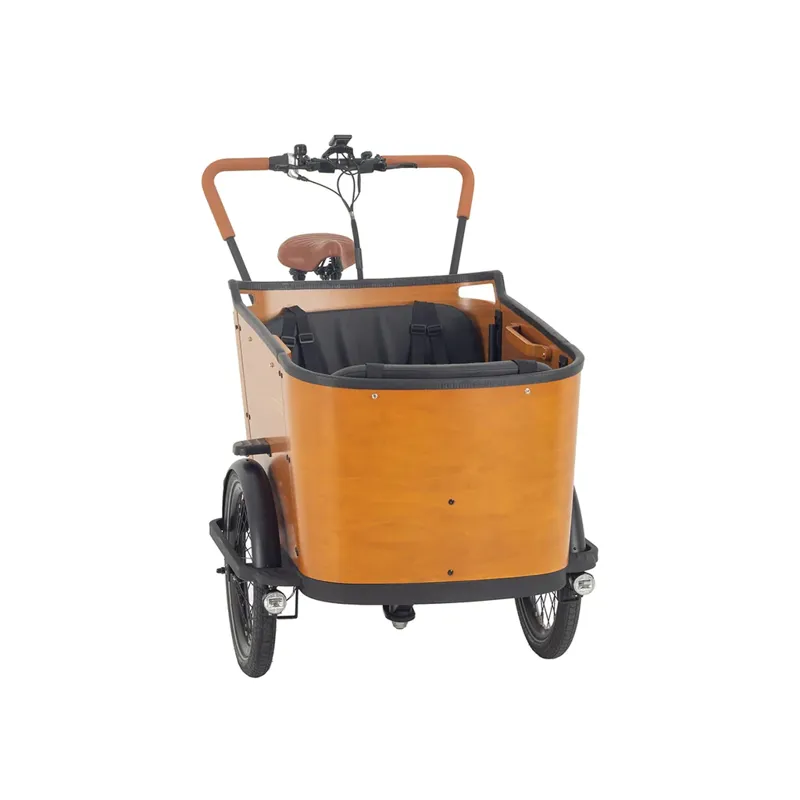 Aitour Cargo Bike - Family C 110Nm 630Wh Electric Cargo Bike Trike Wood-3